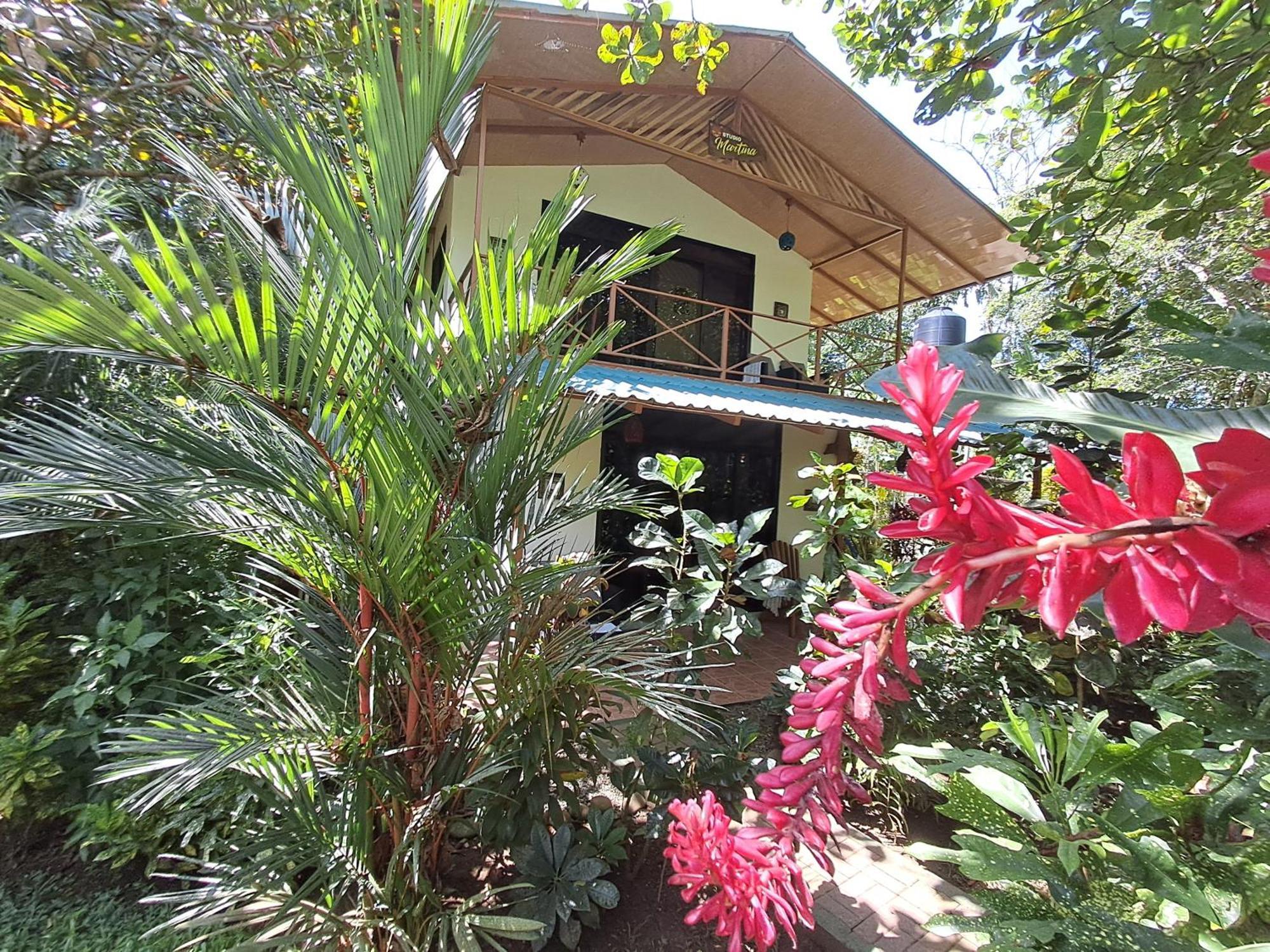Vila New Caribe Point Cahuita Exteriér fotografie