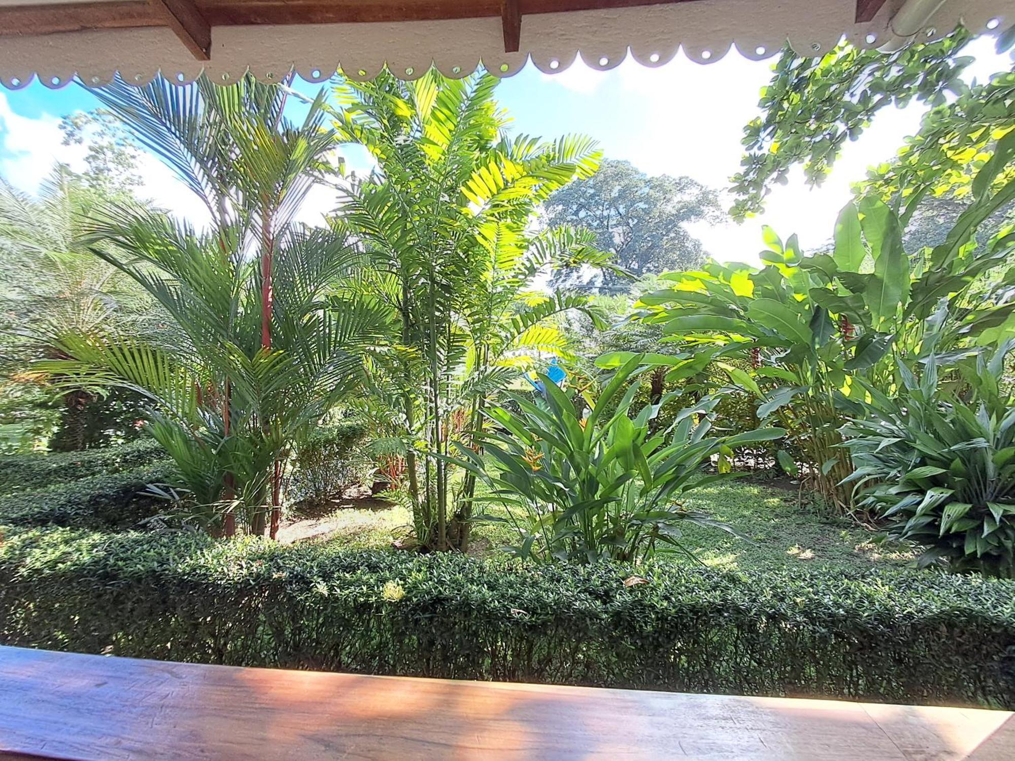 Vila New Caribe Point Cahuita Exteriér fotografie