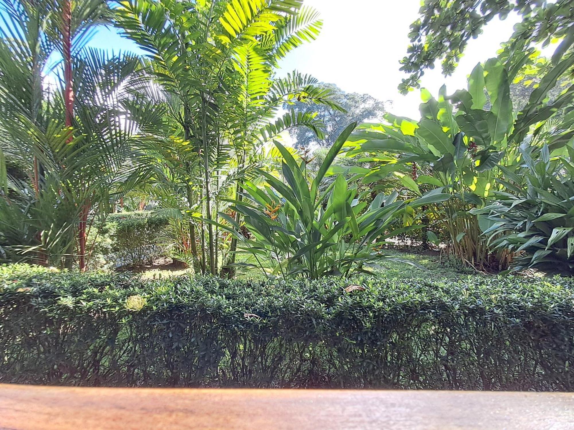 Vila New Caribe Point Cahuita Exteriér fotografie