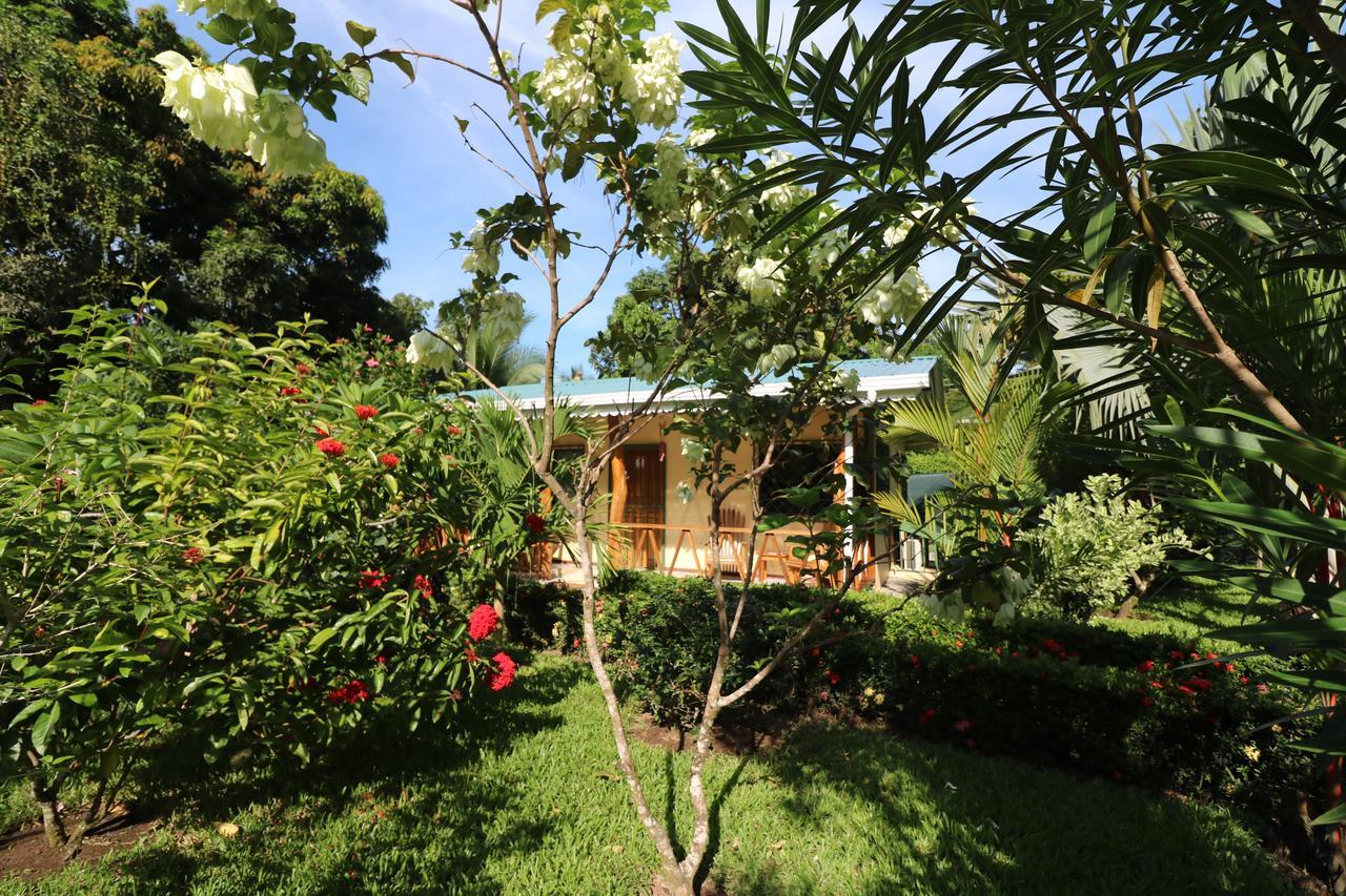 Vila New Caribe Point Cahuita Exteriér fotografie