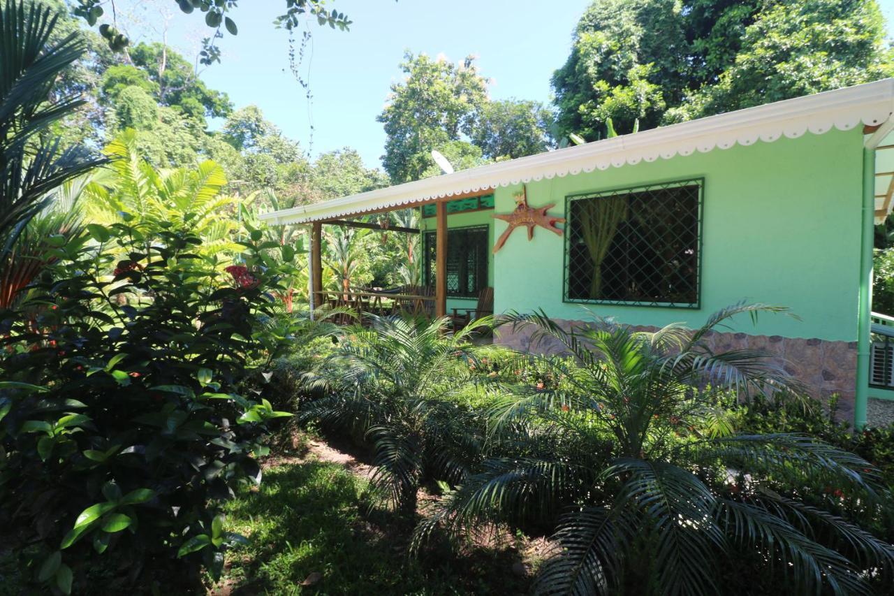 Vila New Caribe Point Cahuita Exteriér fotografie
